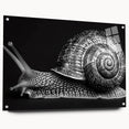 Colorful acrylic glass wall art showcasing a detailed snail design, featuring a side view with decorative pins, perfect for nature-inspired decor.