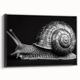 Framed wall art featuring a stylized snail design in vibrant colors, displayed from a black side view, perfect for animal-themed decor. Ideal for nature lovers.