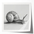 Glossy wall art featuring a whimsical snail design from the "Animals a Wild Life" collection, showcasing vibrant colors and intricate details, perfect for nature-inspired decor.