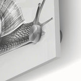 Close-up of a colorful snail design on acrylic glass, showcasing intricate details and vibrant patterns, ideal for nature-themed wall art decor.