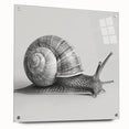 Acrylic wall art design featuring a detailed side view of a vibrant snail, showcasing intricate patterns and colors, ideal for animal-themed decor.