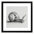 Framed wall art featuring a whimsical snail design in vibrant colors, showcasing intricate details and a black mat, perfect for animal-themed decor.