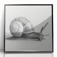Framed wall art showcasing a whimsical snail design in vibrant colors, featuring a sleek black frame. Perfect for adding a playful touch to any home decor.