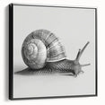 Framed wall art featuring a vibrant snail design in a modern style, showcasing intricate details and bold colors, perfect for nature lovers’ home decor.