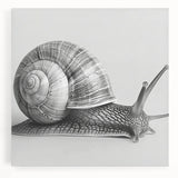 Colorful stretched canvas wall art featuring a whimsical snail design, showcasing vibrant hues and intricate details, perfect for adding a playful touch to home decor.
