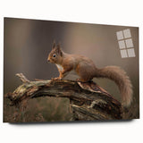 Acrylic wall art depicting a whimsical squirrel design, showcasing vibrant colors and intricate details, ideal for animal lovers and home decor enthusiasts.