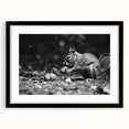 Framed wall art featuring a playful squirrel design against a black mat, showcasing vibrant colors and intricate details, perfect for nature lovers and home decor enthusiasts.