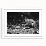 Front view of a framed wall art piece showcasing a whimsical squirrel design, featuring a white mat and sleek frame, perfect for animal-themed home decor.