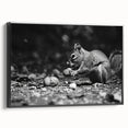 Framed wall art featuring a vibrant squirrel design in a black frame, showcasing intricate details and textures, perfect for animal lovers and home decor enthusiasts.