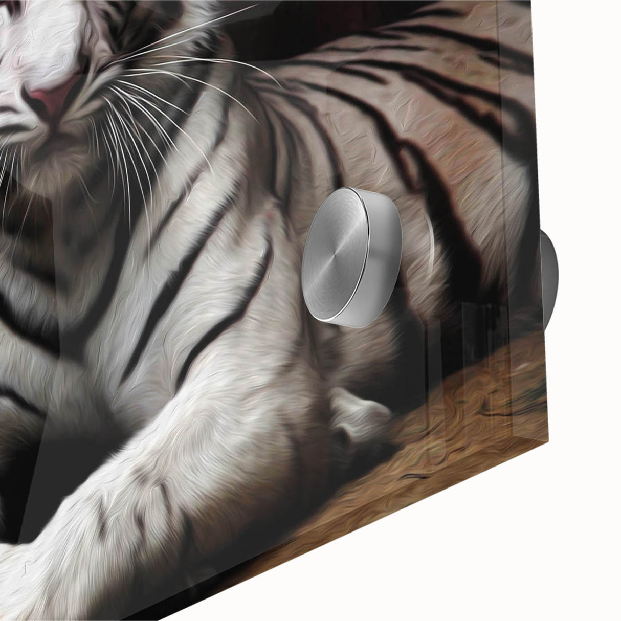Close-up of vibrant tiger wall art design printed on acrylic glass, showcasing intricate details and vivid colors, perfect for wildlife enthusiasts and home decor.