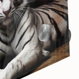Close-up of vibrant tiger wall art design printed on acrylic glass, showcasing intricate details and vivid colors, perfect for wildlife enthusiasts and home decor.