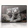 Framed acrylic wall art featuring a striking tiger design in vibrant colors, showcasing the animal's fierce expression against a sleek black background, perfect for wildlife enthusiasts.