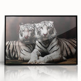Framed acrylic wall art featuring a striking tiger design in vibrant colors, showcasing the animal's fierce expression against a sleek black background, perfect for wildlife enthusiasts.