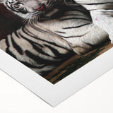 Vibrant rolled canvas featuring a striking tiger design from the Wild Life wall art collection, showcasing bold colors and intricate details, perfect for animal lovers.