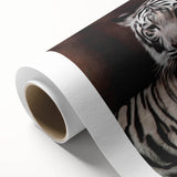 Vibrant rolled canvas artwork showcasing a striking tiger design, featuring bold colors and intricate details, perfect for animal lovers and home decor enthusiasts.