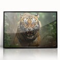 Framed acrylic wall art featuring a striking tiger design in vibrant colors, set against a black background, showcasing wildlife beauty and artistic flair.