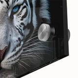 Close-up of an acrylic glass wall art featuring a vibrant tiger design, showcasing intricate details and bold colors, ideal for wildlife and animal lovers.