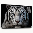 Side view of a tiger-themed wall art collection featuring vibrant colors on acrylic glass, secured with pins, ideal for wildlife decor enthusiasts.