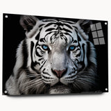 Side view of a tiger-themed wall art collection featuring vibrant colors on acrylic glass, secured with pins, ideal for wildlife decor enthusiasts.