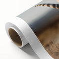 Vibrant rolled canvas print showcasing a striking tiger design in a wild life theme, perfect for enhancing home decor with a touch of nature's beauty.