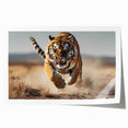 Vibrant rolled print showcasing a majestic tiger design, perfect for animal lovers and wildlife enthusiasts, beautifully packaged for easy display.