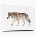 Side view of a striking acrylic wall art piece featuring a detailed wolf design, showcasing vibrant colors and sharp lines, mounted with stylish pins for enhanced display.