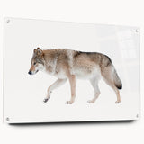Side view of a striking acrylic wall art piece featuring a detailed wolf design, showcasing vibrant colors and sharp lines, mounted with stylish pins for enhanced display.
