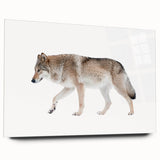 Acrylic glass wall art featuring a striking wolf design, showcasing intricate details and vibrant colors, ideal for animal lovers and modern decor.