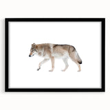 Framed wall art featuring a striking black and white wolf design, showcasing intricate details and textures, perfect for wildlife enthusiasts and modern decor.