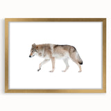 Framed wall art featuring a striking wolf design in a gold frame, showcasing intricate details and vibrant colors, perfect for wildlife and nature enthusiasts.