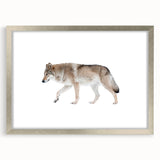 Framed silver wall art featuring a striking wolf design, showcasing intricate details and vibrant colors, perfect for wildlife enthusiasts and home decor.