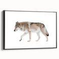 Framed wall art featuring a striking black wolf design on canvas, showcasing intricate details and textures, ideal for wildlife enthusiasts and home decor.