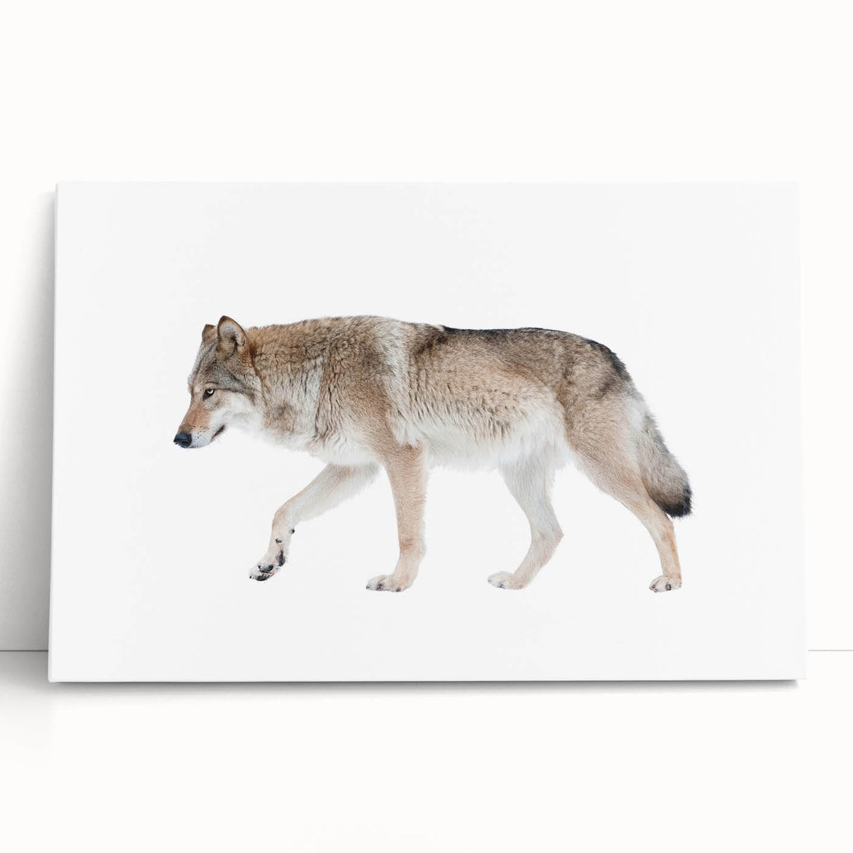 Stretched canvas wall art featuring a striking wolf design, showcasing intricate details and vibrant colors, perfect for nature-themed home decor.