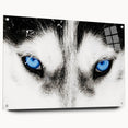 Acrylic wall art showcasing a striking wolf design in a side view, featuring vibrant colors and intricate details, mounted with pins for easy display. This captivating piece adds a wild touch to any interior decor, perfect for animal lovers and art enthusiasts.
