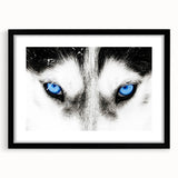 Framed wall art featuring a striking wolf design, showcasing intricate details and vibrant colors, presented in a sleek black frame with a mat. Ideal for animal lovers and modern decor enthusiasts.