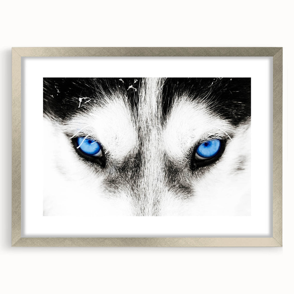 Framed wall art showcasing a striking wolf design with a silver mat, perfect for nature lovers and wildlife enthusiasts, enhancing any home decor.