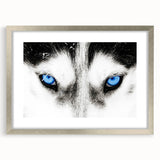 Framed wall art showcasing a striking wolf design with a silver mat, perfect for nature lovers and wildlife enthusiasts, enhancing any home decor.