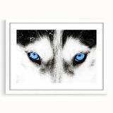 Framed wall art featuring a striking gray wolf design, set against a white mat, showcasing intricate details and textures, perfect for wildlife enthusiasts.