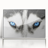 Framed acrylic wall art featuring a striking wolf design, showcasing intricate details and vivid colors, ideal for wildlife enthusiasts and home decor.