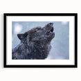 Black-framed wall art featuring a striking wolf design, showcasing intricate details and vivid colors against a neutral mat background, perfect for wildlife enthusiasts.
