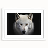 Framed wall art featuring a striking wolf design, showcasing intricate details and vibrant colors, perfect for wildlife enthusiasts and nature lovers.
