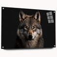 Acrylic wall art featuring a striking wolf design from the Animals A Wild Life collection, showcasing intricate details and vibrant colors. Perfect for animal lovers.