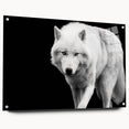 Stylish acrylic wall art featuring a striking wolf design from the "Animals A Wild Life" collection, displayed in a side view with pins, perfect for modern decor.