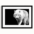 Framed wall art collection showcasing a striking black wolf design, featuring a sleek matte finish and stylish black frame, perfect for animal lovers and home decor enthusiasts.