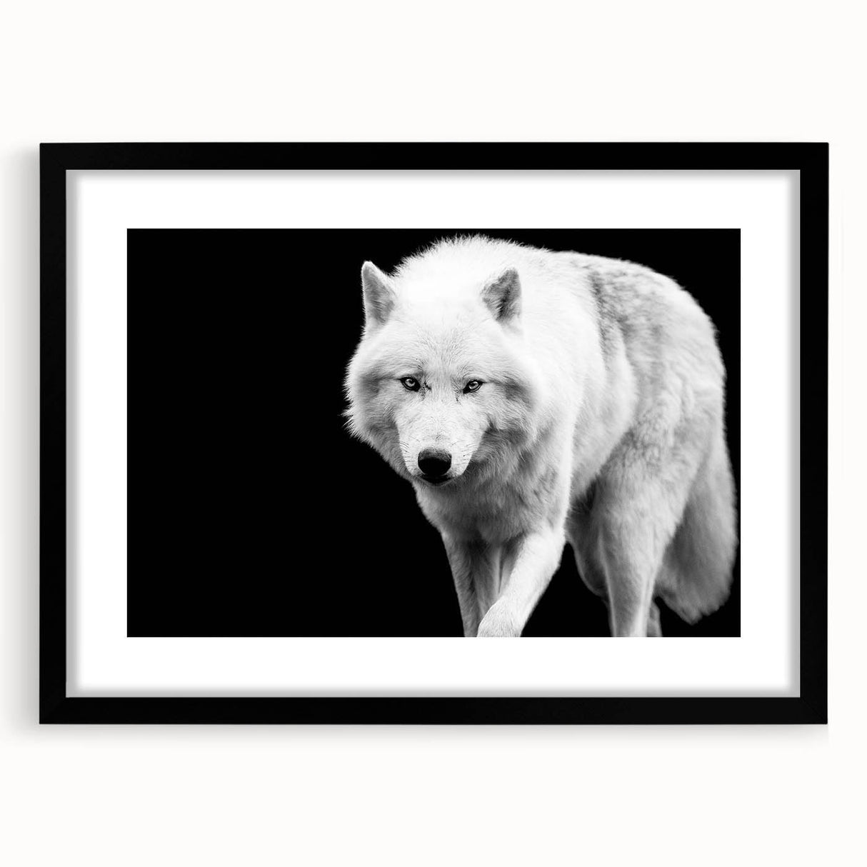 Framed wall art collection showcasing a striking black wolf design, featuring a sleek matte finish and stylish black frame, perfect for animal lovers and home decor enthusiasts.