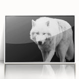 Framed acrylic wall art featuring a striking wolf design in a contemporary style, set against a white background, ideal for nature enthusiasts and home decor.