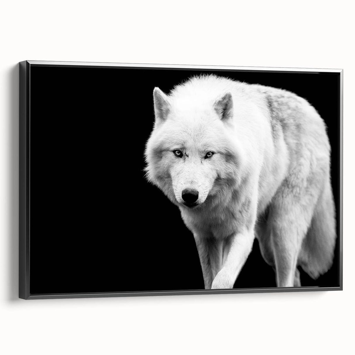 Framed canvas wall art showcasing a striking black and white wolf design, perfect for wildlife enthusiasts, set against a sleek black frame for a modern decor touch.