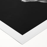 Rolled canvas artwork showcasing a striking wolf design, with intricate details and vibrant colors, ideal for wildlife enthusiasts and home decor. Perfect for adding a nature-inspired touch to any space.