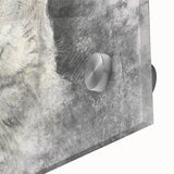 Close-up of a stunning acrylic glass wall art piece featuring a detailed wolf design, showcasing its fur textures and striking colors, perfect for animal lovers’ decor.