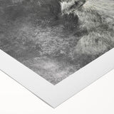 Stunning rolled canvas art featuring a majestic wolf design in a natural setting, ideal for wildlife enthusiasts and home decor lovers. Perfect for adding a touch of nature to any room.